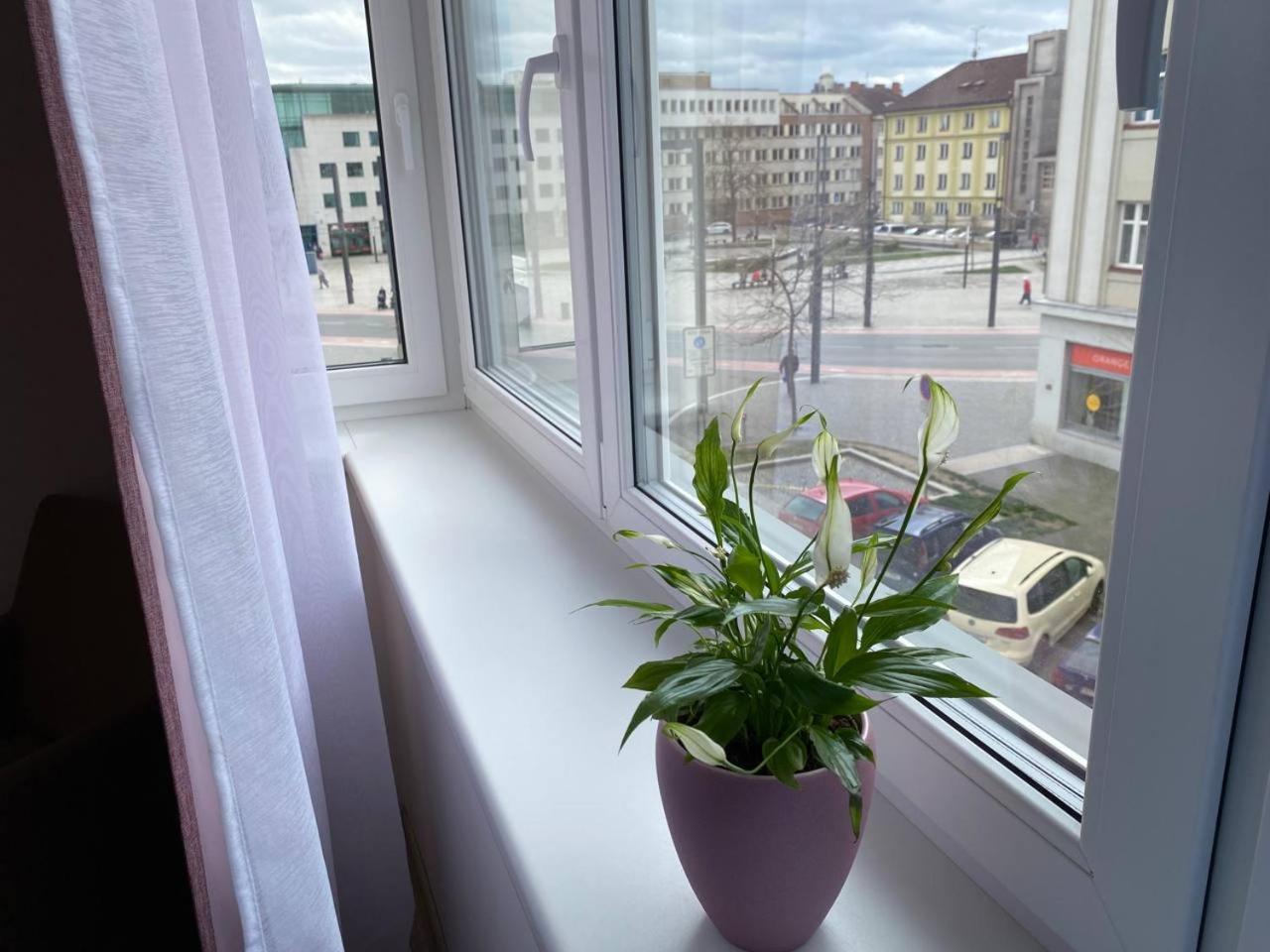 Perla Hradce 302 Appartement Hradec Králové Buitenkant foto